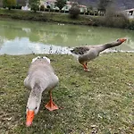 Le Caousate Отель типа 