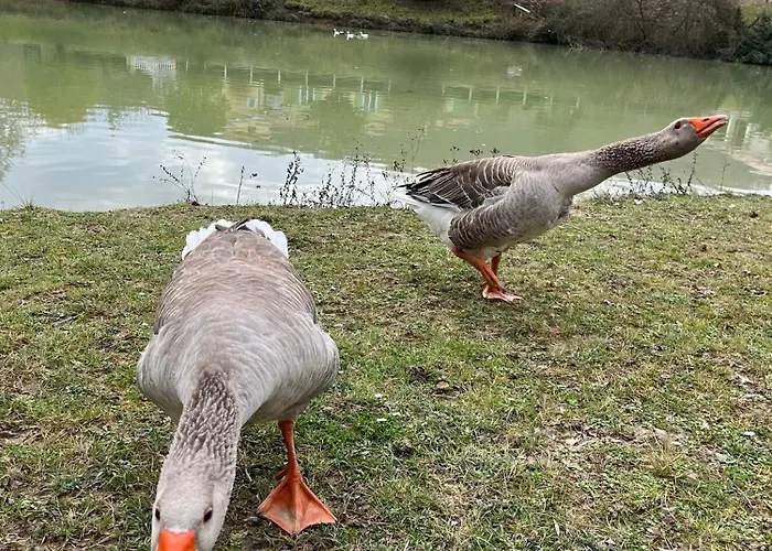 Le Caousate Bed and breakfast 3*